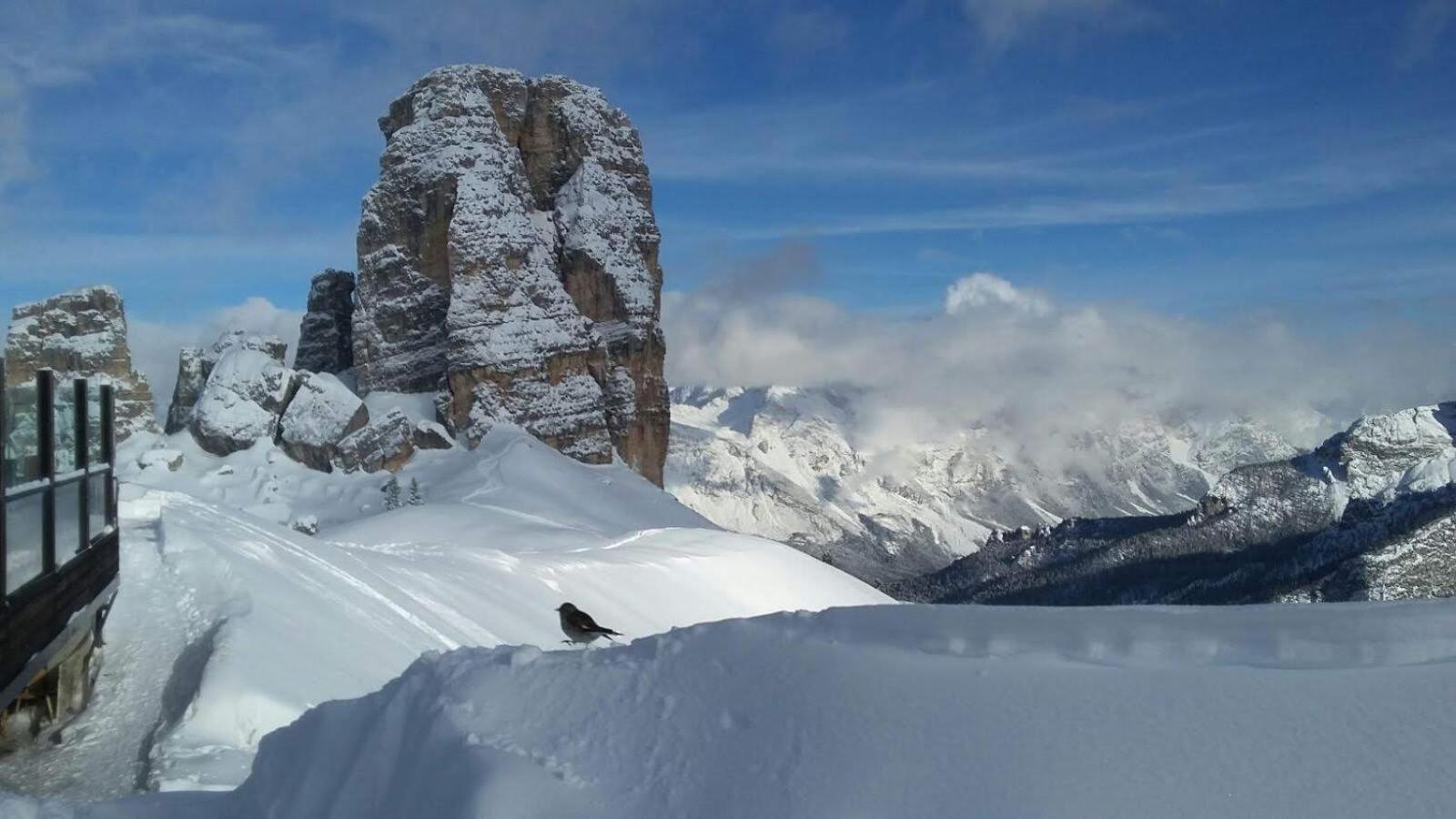 Casa Elena Apartman Pieve di Cadore Kültér fotó