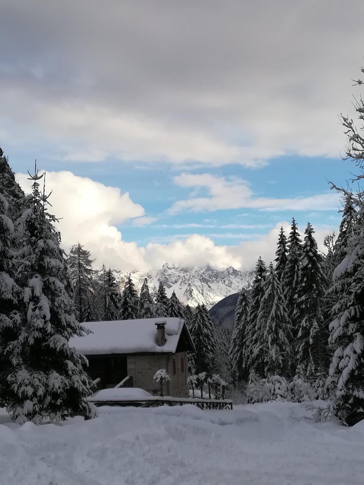 Casa Elena Apartman Pieve di Cadore Kültér fotó